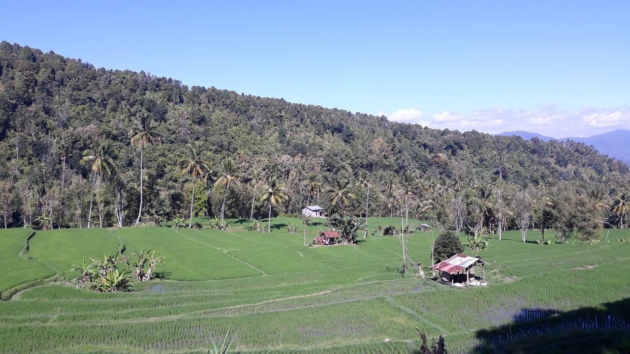 Bagus Beach Resort Lovina Buleleng  ภายนอก รูปภาพ
